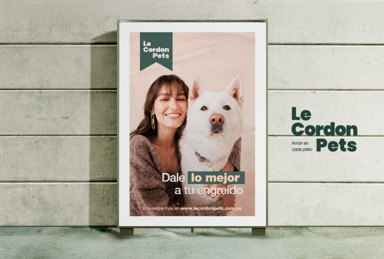 Nuestros servicios Connect Branding-01